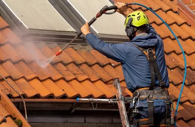Démoussage et hydrofuge de toiture à Aubiat